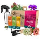 Garden Box